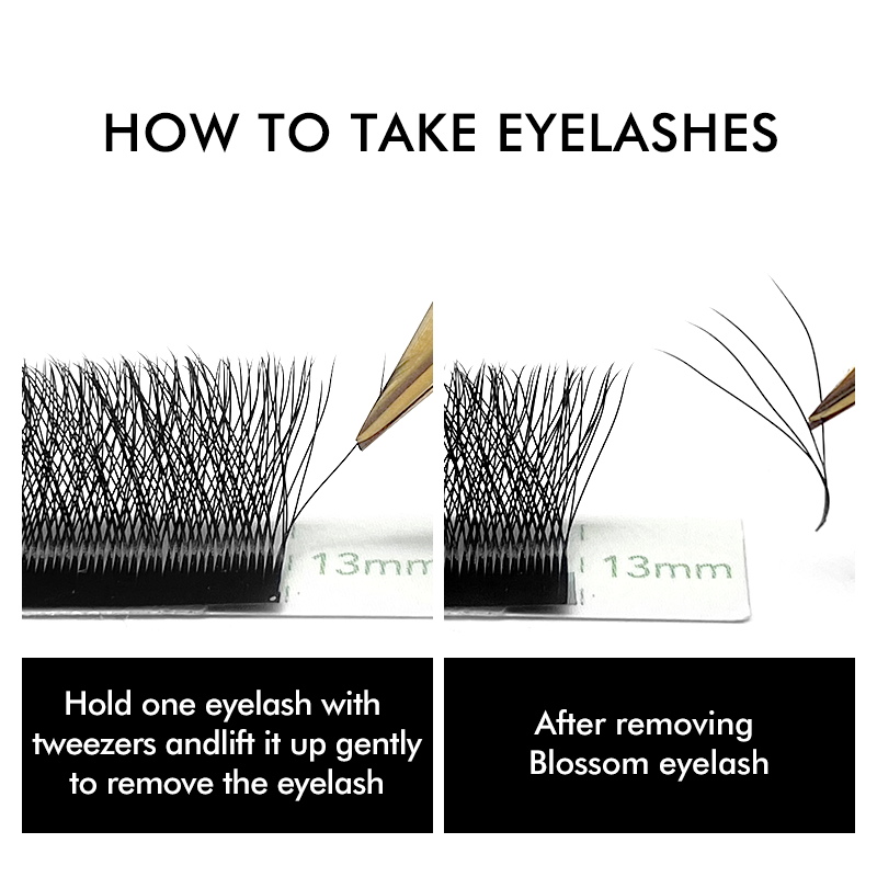 3D 4D 5D 6D W Shaped Clover ขน - Eyelash Extension Russian บทวิจารณ์และราคา